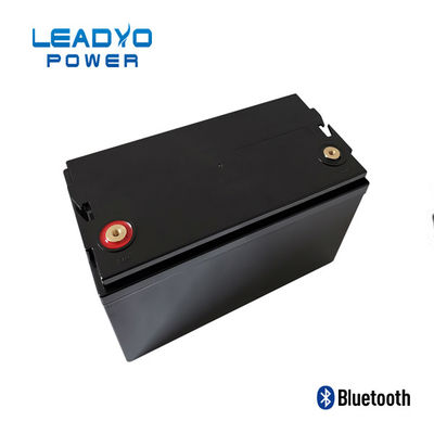 Случай батарей Lifepo4 12V 100amp пластиковый Screwable LEADYO BMS морской
