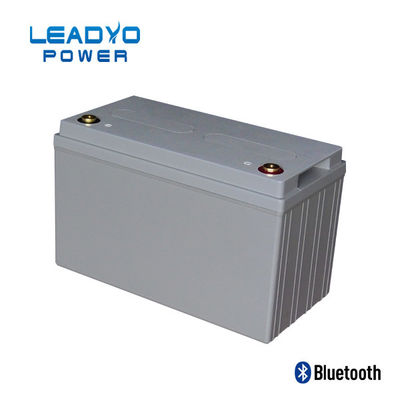 вес литий-ионного аккумулятора цикла батареи 50Ah 24V Lifepo4 глубокий 31 Lbs